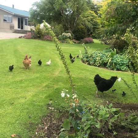 Southland Organic Farmstay Invercargill Buitenkant foto