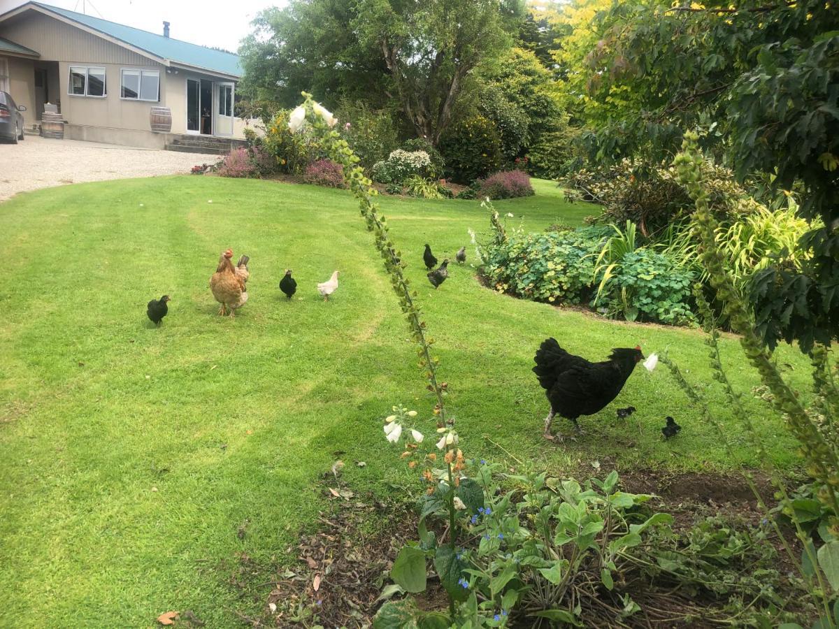 Southland Organic Farmstay Invercargill Buitenkant foto